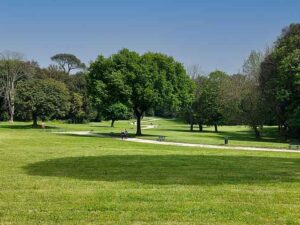 Estate a Napoli il bosco di capodimonte