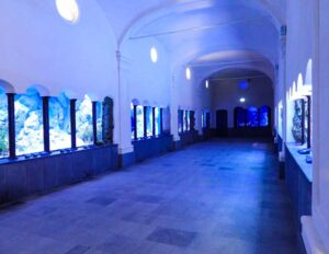 Acquario di Napoli Sala delle vasche